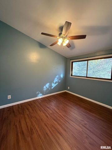 606 W KENNEDY Drive, Desoto, IL 62966