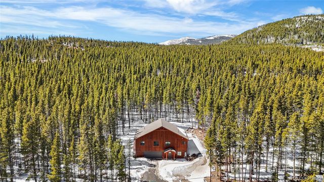 79 Beaver Road, Idaho Springs, CO 80452