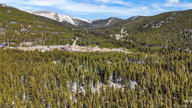 79 Beaver Road, Idaho Springs, CO 80452
