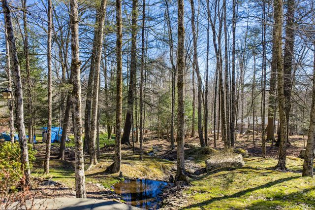 14 Seminole Trail S, Bethel, NY 12720
