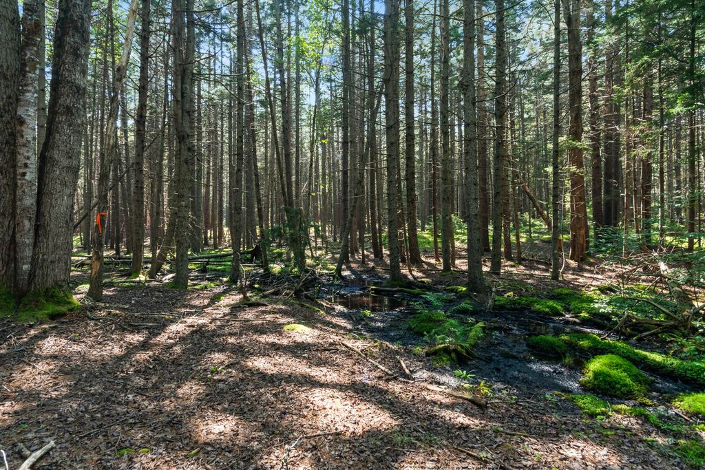 Lot 2B Allen Point Road, Harpswell, ME 04079 — photo 5