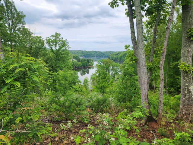 Lot 69 Washburn CT, Hardy, VA 24101