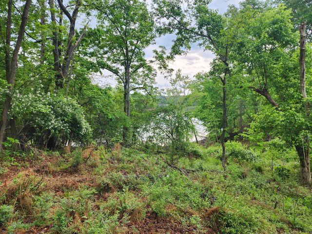 Lot 69 Washburn CT, Hardy, VA 24101