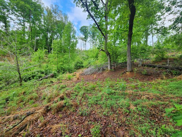 Lot 69 Washburn CT, Hardy, VA 24101
