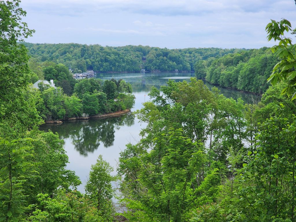 Lot 69 Washburn CT, Hardy, VA 24101