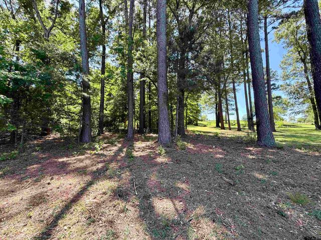 10162 CR 3202, Chandler, TX 75758