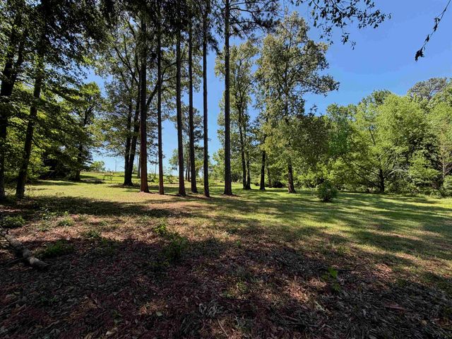 10162 CR 3202, Chandler, TX 75758