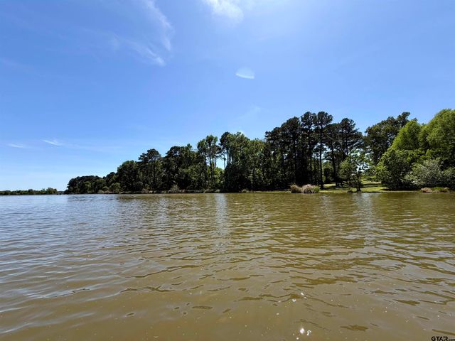 10162 CR 3202, Chandler, TX 75758