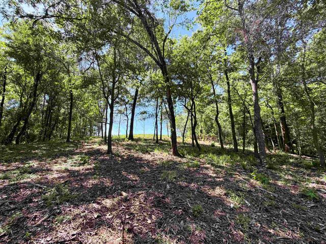 10162 CR 3202, Chandler, TX 75758