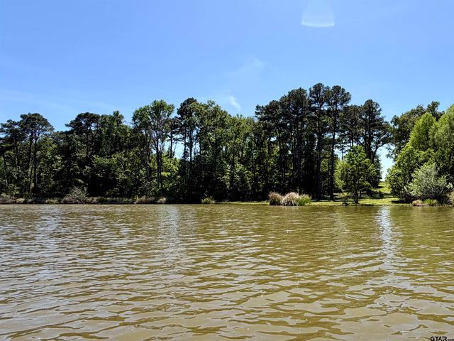 10162 CR 3202, Chandler, TX 75758