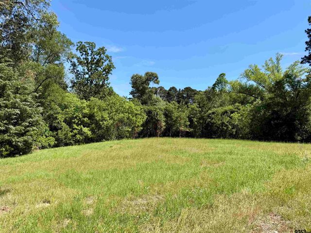 10162 CR 3202, Chandler, TX 75758