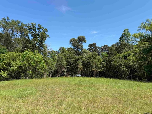 10162 CR 3202, Chandler, TX 75758