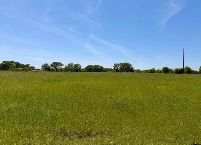 10162 CR 3202, Chandler, TX 75758