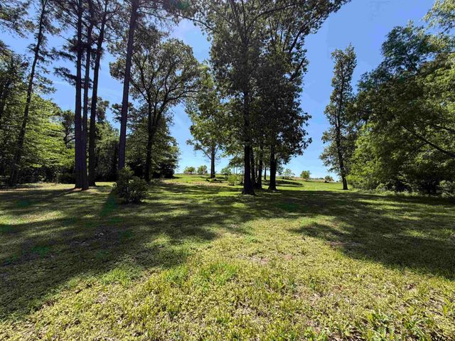 10162 CR 3202, Chandler, TX 75758