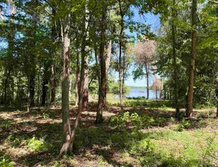 10162 CR 3202, Chandler, TX 75758