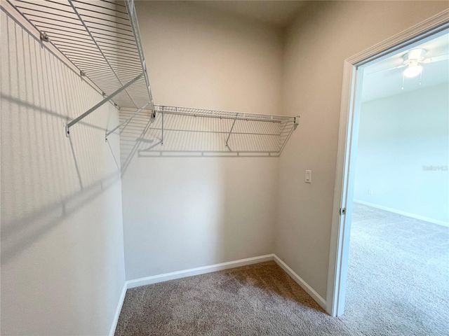 10668 OLD SYCAMORE LOOP, Land O Lakes, FL 34638