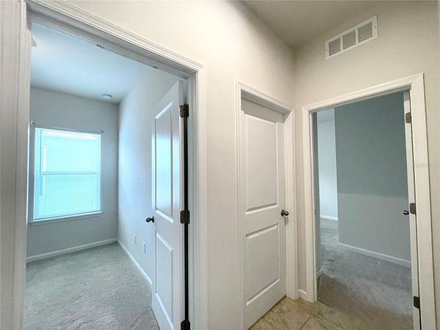 10668 OLD SYCAMORE LOOP, Land O Lakes, FL 34638