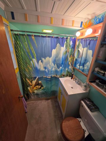 237 POPPS ROAD Road, Mio, MI 48647