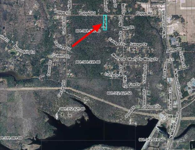 237 POPPS ROAD Road, Mio, MI 48647