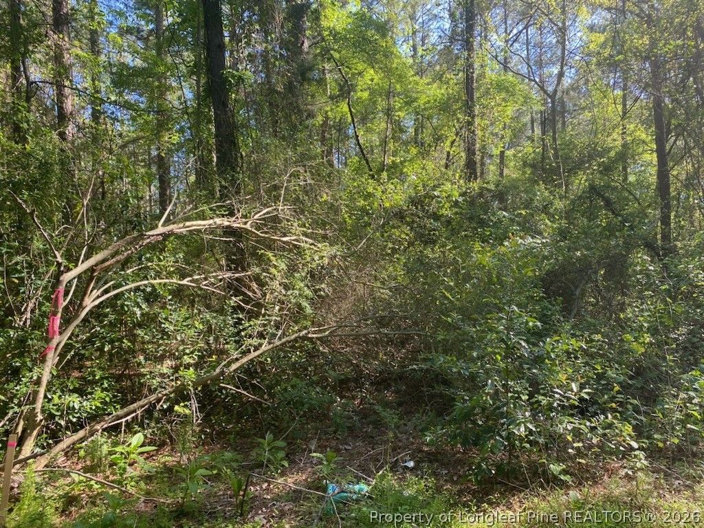 TBD, Fayetteville, NC 28303 — photo 8