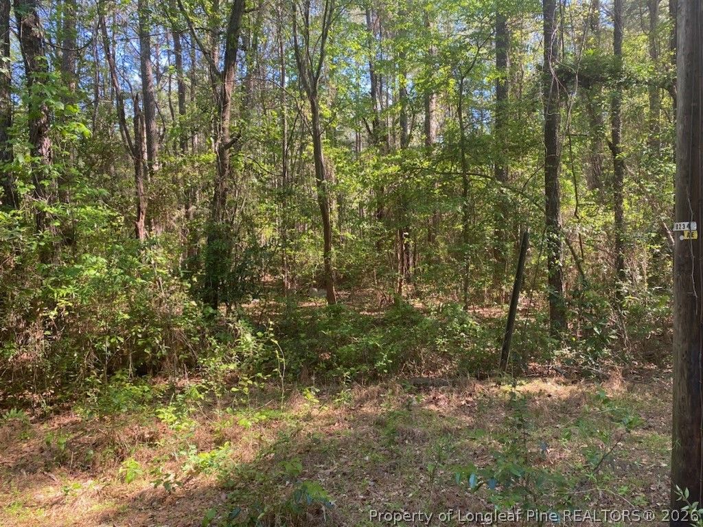 TBD, Fayetteville, NC 28303 — photo 9