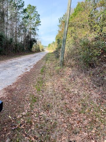 T-10 Fm 787, Saratoga, TX 77585