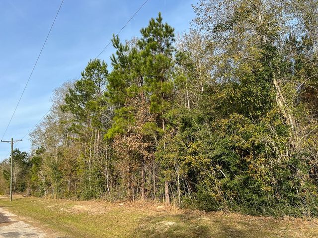 T-10 Fm 787, Saratoga, TX 77585