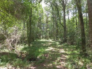 A-4 La Hwy 966, St Francisville, LA 70775