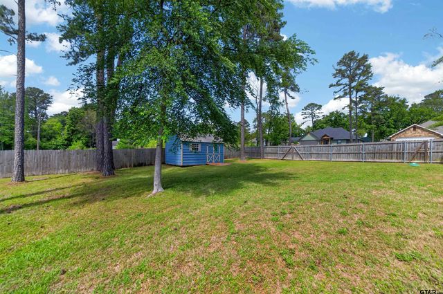 17171 Mary Martin Drive, Flint, TX 75762