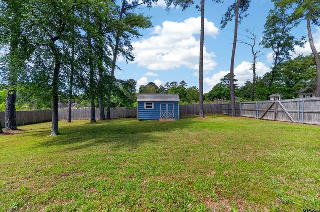 17171 Mary Martin Drive, Flint, TX 75762