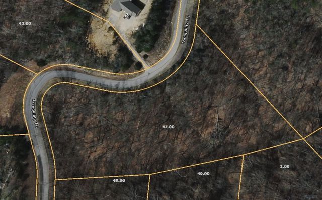 47 Tranquility Tr, Dandridge, TN 37725