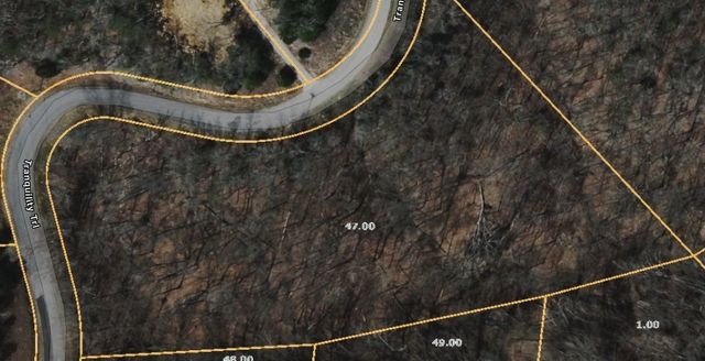 47 Tranquility Tr, Dandridge, TN 37725