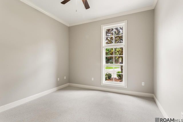 17222 Sweet Olive Ave, Baton Rouge, LA 70817