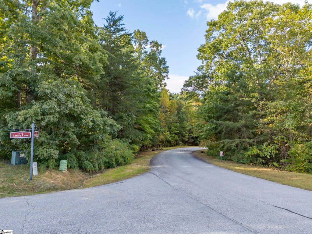 100 Pardo Road, Landrum, SC 29356