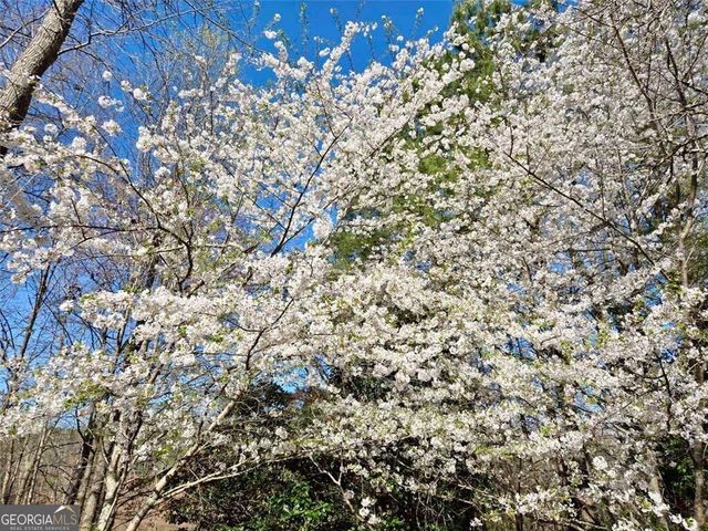 6509 LILY Trail, Fairburn, GA 30213