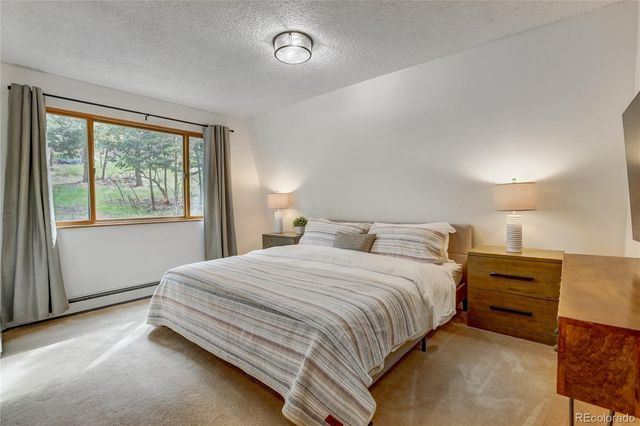 22354 Park Lane, Morrison, CO 80465