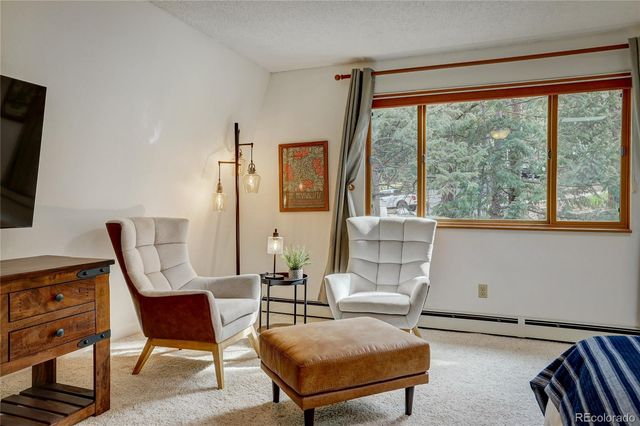 22354 Park Lane, Morrison, CO 80465