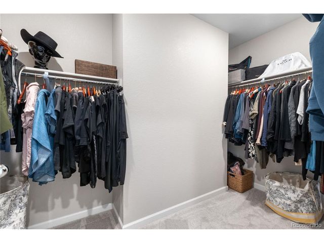 16351 Askins Loop, Parker, CO 80134