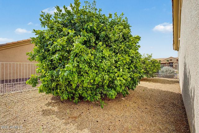 15323 W ROBERTSON Drive, Sun City West, AZ 85375