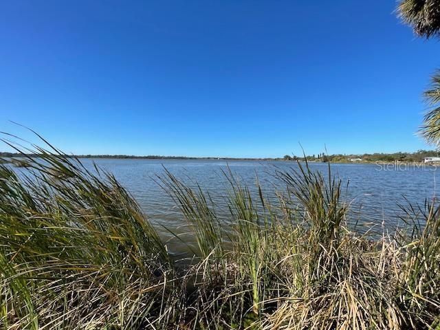 2950 PALLANZA DRIVE S, St Petersburg, FL 33701