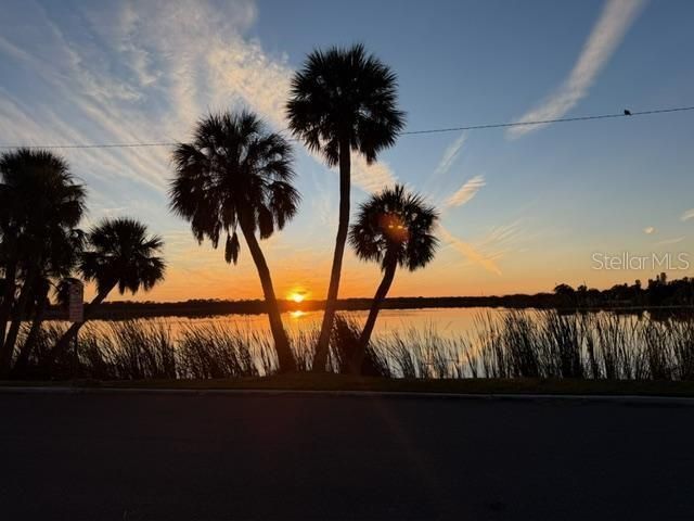 2950 PALLANZA DRIVE S, St Petersburg, FL 33701