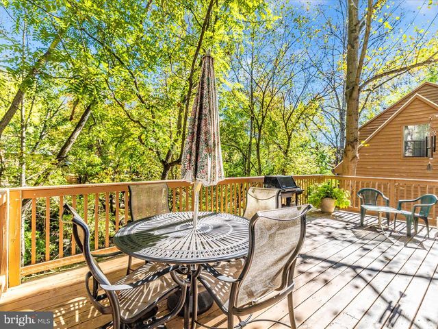 10407 HEDGEAPPLE CT, New Market, MD 21774