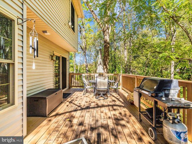 10407 HEDGEAPPLE CT, New Market, MD 21774