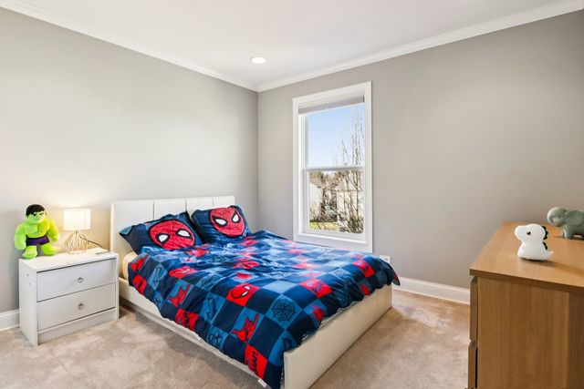 2706 Hamman Way, Aurora, IL 60502