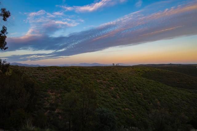 10737 Birch Bluff Ave, San Diego, CA 92131