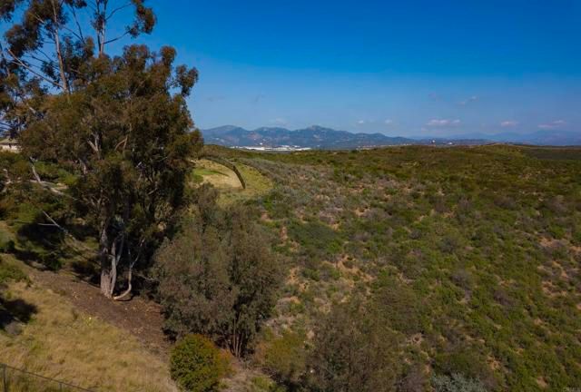 10737 Birch Bluff Ave, San Diego, CA 92131