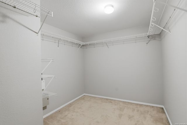 25537 Gold Yarrow, San Antonio, TX 78260
