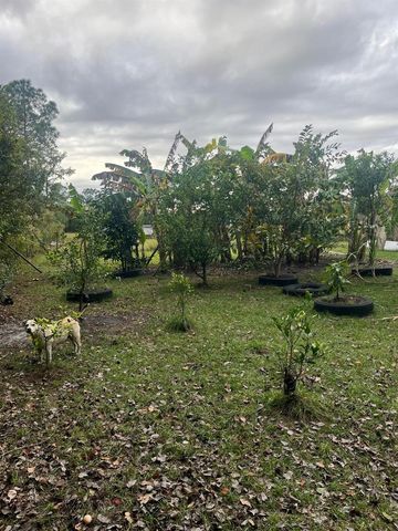 24 HAMMONS WAY, Frostproof, FL 33843