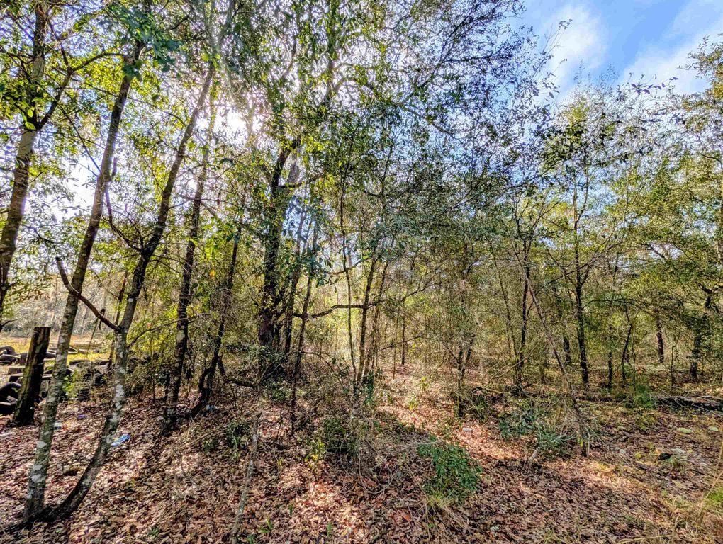 TBD Cherry St, Interlachen, FL 32148