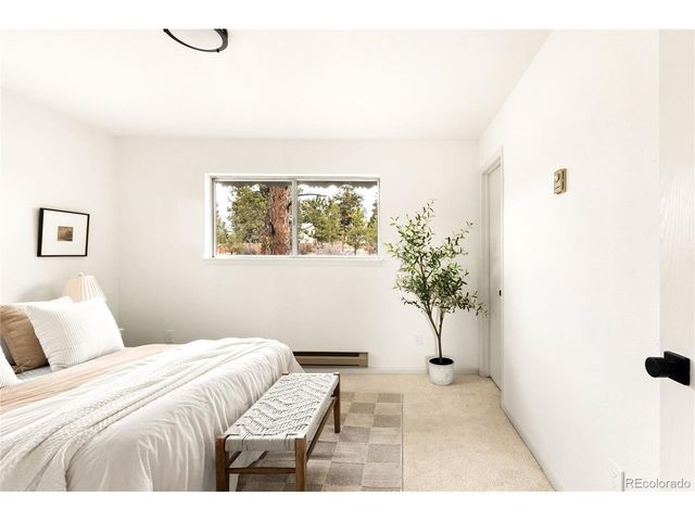 34657 Mohawk Trl, Pine, CO 80470